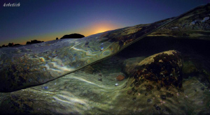 bottom shapes by Dale Kobetich 